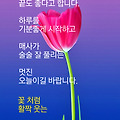 '' 글에 포함된 이미지