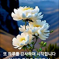 '참으로 신기한 일이 ' 글에 포함된 이미지