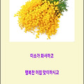 '믿음의 양에 따라 그' 글에 포함된 이미지