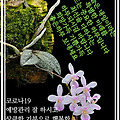 '안녕들 하세요?시간이' 글에 포함된 이미지
