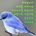 '안녕하세요?6월과 7월' 글에 포함된 이미지