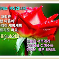'' 글에 포함된 이미지