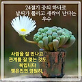 '사람을 잘 만나고 관' 글에 포함된 이미지