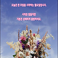 '웃음은 평생 먹어야 ' 글에 포함된 이미지