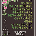 '굿모닝 임니다 산천초' 글에 포함된 이미지