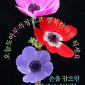 '휴일날아침안녕하세요' 글에 포함된 이미지