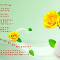 '' 글에 포함된 이미지