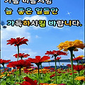 '지금 우리가 살아가고' 글에 포함된 이미지
