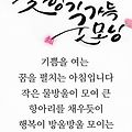 '안녕하세요?1년 중 가' 글에 포함된 이미지