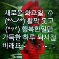 '안녕하세요? 화창한 ' 글에 포함된 이미지