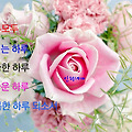 '' 글에 포함된 이미지