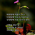 '공자님은 이렇게 말했' 글에 포함된 이미지