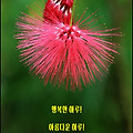 '깊은 생각과 자신의 ' 글에 포함된 이미지