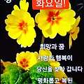 '안녕하세요? 즐거운 ' 글에 포함된 이미지