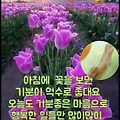 '안녕하세요? 목청껏 ' 글에 포함된 이미지