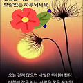 '내가 가진 것을 다 써' 글에 포함된 이미지
