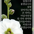 '안녕하세요?즐거운 주' 글에 포함된 이미지