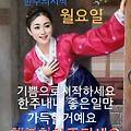 '안녕하세요? 새로운 ' 글에 포함된 이미지