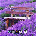 '한번 심어지고 나면 ' 글에 포함된 이미지