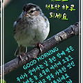 '비모닝연이은 초여름' 글에 포함된 이미지