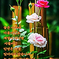 '좋은 말이 있어도 쓰' 글에 포함된 이미지