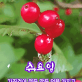 '안녕하세요? 즐거운 ' 글에 포함된 이미지