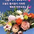 '안녕하세요? 화사한 ' 글에 포함된 이미지