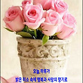 '언제나 심각 상태에 ' 글에 포함된 이미지