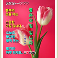 '' 글에 포함된 이미지