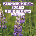 '세상에는 다시는 돌아' 글에 포함된 이미지
