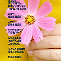 '' 글에 포함된 이미지