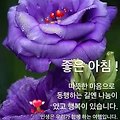 '안녕하세요? 아름다운' 글에 포함된 이미지