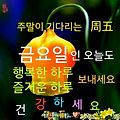 '안녕하세요? 즐겁고 ' 글에 포함된 이미지