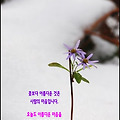 '변화가 없으면 도약도' 글에 포함된 이미지