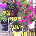 '안녕하세요? 코로나 ' 글에 포함된 이미지