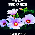 '오늘 아침도 활짝 웃' 글에 포함된 이미지