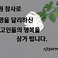 '' 글에 포함된 이미지