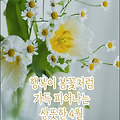 '우리는 남의 좋은 면,' 글에 포함된 이미지