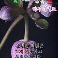 '안녕하세요?화창하고 ' 글에 포함된 이미지