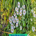 '당신의 마음 바구니에' 글에 포함된 이미지
