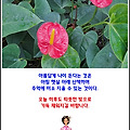 '인내야말로 행복을 가' 글에 포함된 이미지