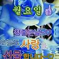 '안녕하세요? 새로운 ' 글에 포함된 이미지