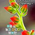 '안녕하세요? 화창한 ' 글에 포함된 이미지