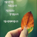 '하루를 긍정하면 자기' 글에 포함된 이미지