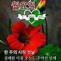'안녕하세요? 새로운 ' 글에 포함된 이미지
