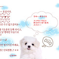 '' 글에 포함된 이미지