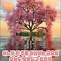 '세월은 누구에게나 공' 글에 포함된 이미지