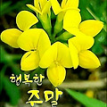 '세상은 모든 사람에게' 글에 포함된 이미지