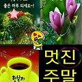 '안녕하세요? 즐겁고 ' 글에 포함된 이미지