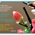 '' 글에 포함된 이미지